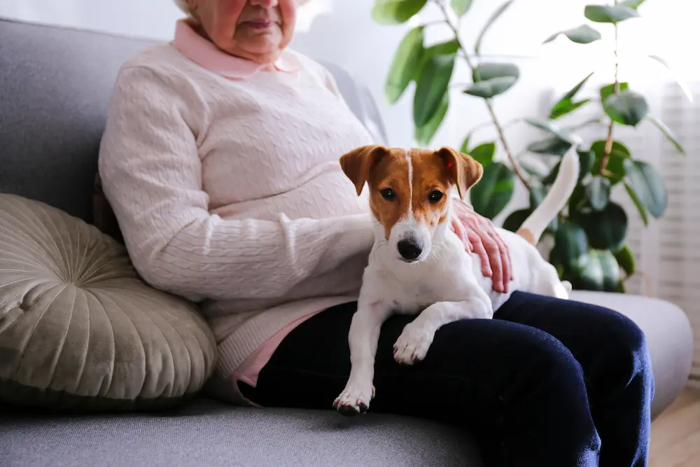 Una mujer mayor sentada en un sofá con un perrito en su regazo.